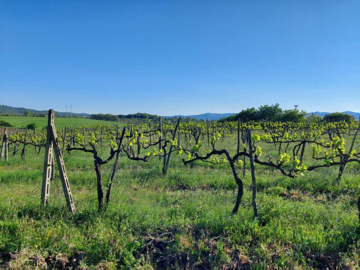 Tenuta I Lecci Terranuova Bracciolini Exterior photo