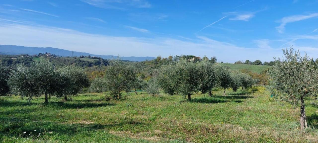 Tenuta I Lecci Terranuova Bracciolini Exterior photo